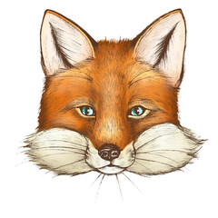 Naklejka premium Fox png illustration, transparent background