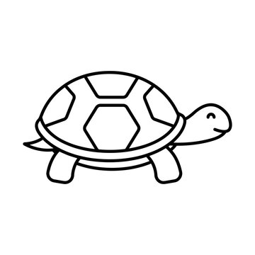 turtle line icon illustration