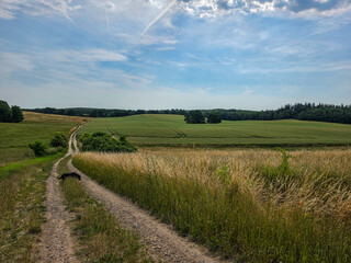 Fototapeta premium Scenic Rural Dirt Road Winding Through Rolling Farmland and Golden Grain Fields Under a Blue Summer Sky