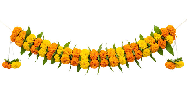 Traditional marigold flower garland on white background, orange and yellow floral toran for Indian festivals, decorative marigold flower string with green leaves