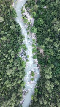aerial view, top down, drone shot, birds eye view, river, forest, mountain river, canyon, valley, wilderness, green forest, pine trees, rushing water, rapids, flowing water, stream, creek, nature, lan