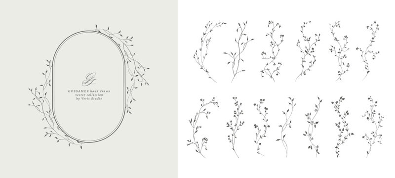Delicate hand drawn botanical branches and floral frames with wildflowers and leaves. Minimalist vector set for wedding invitations, branding, logos, stationery and packaging.