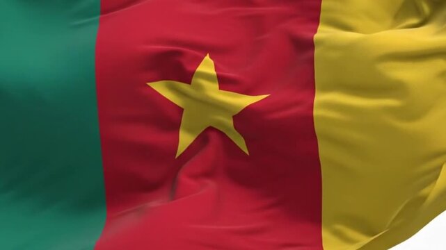 Waving flag of cameroon, national symbol of the republic of cameroon