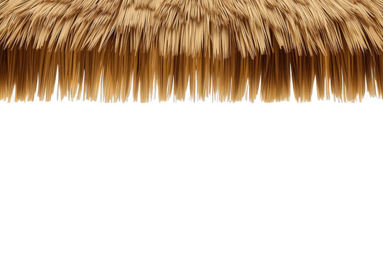 Thatched roof fringe texture on transparent background creating a border for tropical, beach, or nature themes