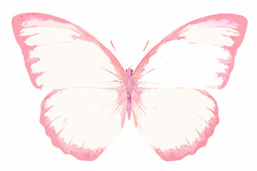 Delicate Watercolor Butterfly Illustration With Pink Tones And Transparent Background © Ankan