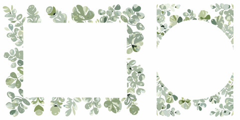 Watercolor eucalyptus frame and border with green foliage on a white background © Ankan