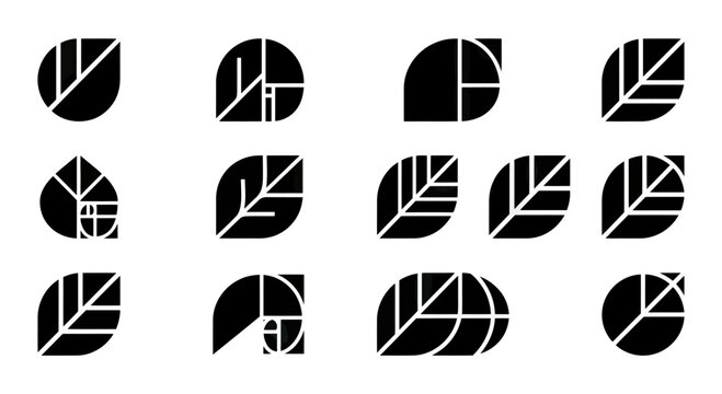 Leaf Icons Geometric Fibonacci Spiral Golden Ratio Organic Design Elements
