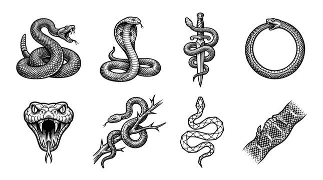 Set of Vintage Snake Illustrations Including Cobra, Rattlesnake, Ouroboros, and Serpent Symbols in Engraving Tattoo Style