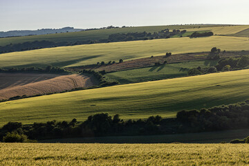 Fototapeta premium A view over hills and fields at Ditchling Beacon in rural Sussex