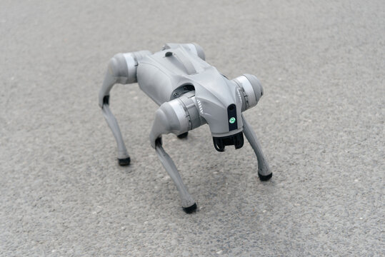 grey robot dog in city street, entertainment for kids, amusement, modern robotic technology