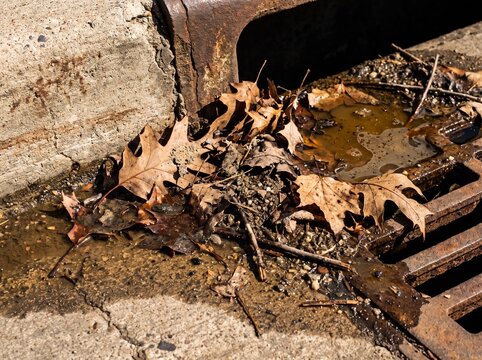 Dead brown leaves clogging a street gutter in dirty murky water