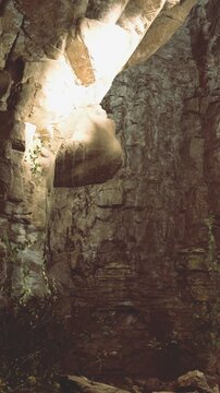 Bright light enters a cave, illuminating the rough rocks and some plants. The scene shows the natural structure of the cave and the growth of plants in a dark area.