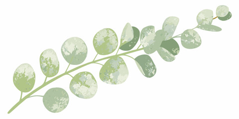 Watercolor eucalyptus branch illustration with muted green tones on a white background © Juel