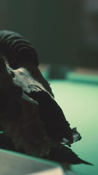 A hand grips a worn skull resting close to a green felt table. The setting has low light, creating a shadowy atmosphere. The focus is on the details of the skull and the table.