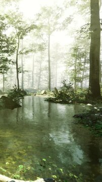A stream flows through a thick forest. Sunlight shines through the trees, casting a soft glow. The water reflects the greenery as nature thrives in the early morning.