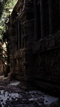 The scene shows old stone walls with carvings. Trees grow nearby, and soft light filters through branches at sunset, creating interesting shadows on the ground.
