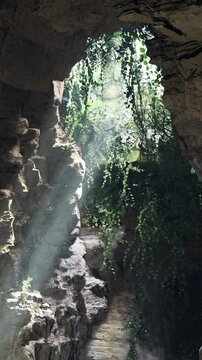 Bright light enters a natural opening in a rock formation. Green plants and vines grow around the area. Sunlight shines down, creating a warm atmosphere in the space.