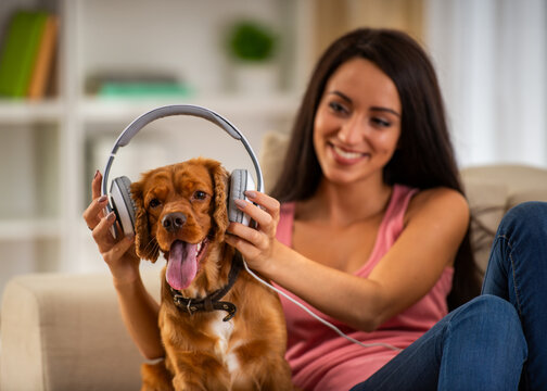 Dog Wearing Headphones.
