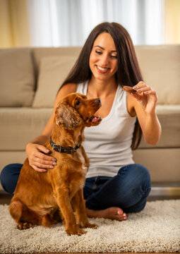 Woman Training Dog.