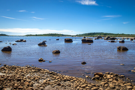 Rocky shore of Lake Ladoga with low water level and large boulders exposed on the dried beach in Karelia, Russia