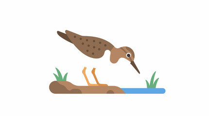 Cute Sandpiper Bird Cartoon Illustration © MHM99