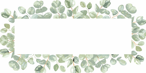 Watercolor eucalyptus leaves form a rectangular frame on a white background © Satyajit
