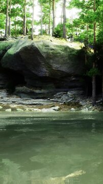 A river passes by large stones and trees in a natural scene. The water reflects the greenery and the sunlight filtering through the leaves. It shows life in the forest by the river.