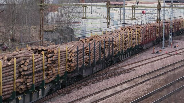 Freight train carrying harvested timber logs through industrial rail yard