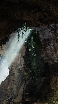 Light from above enters a cave and illuminates the plants and rocky walls. The scene shows the contrast between nature and the dark cave space.