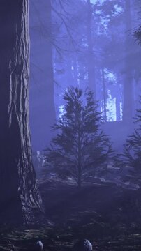 The forest is filled with fog and mist. Trees stand tall and still as morning light filters through the branches. The scene shows a cool and quiet atmosphere in nature.