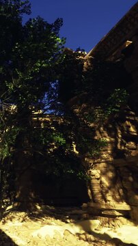 Sunlight shines on ancient stone ruins, casting shadows on the ground. Trees grow nearby, adding green to the scene. The setting is clear and bright, suggesting it is daytime.