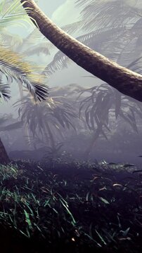 A dense forest with large trees and various plants is shown. Fog covers the ground. Sunlight filters through the leaves. The scene captures early morning freshness and natures beauty.