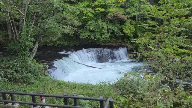 さくらの滝