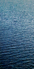 Obraz premium Blue or Teal Gradient Ripple of Water for Backdrop, Background, Border, Wallpaper, Social Media Post Backdrop