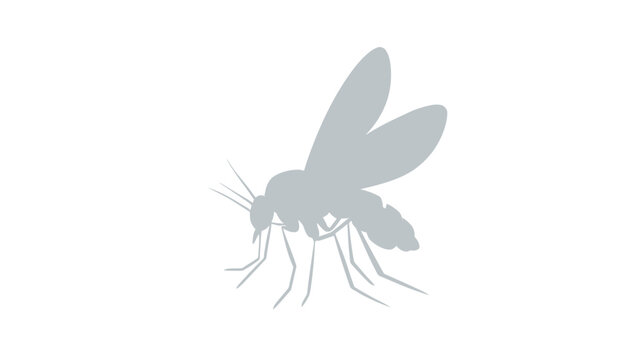 Gray silhouette of a mosquito. This insect is shown with its wings spread and legs visible
