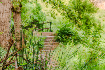 Preciosa ruta botánica de la torrecilla  © David