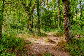 Preciosa ruta botánica de la torrecilla  © David