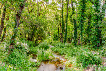 Preciosa ruta botánica de la torrecilla  © David