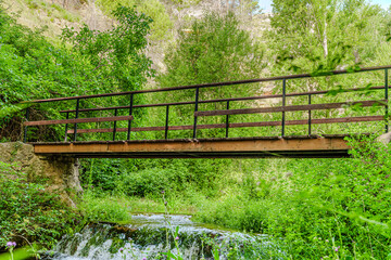 Preciosa ruta botánica de la torrecilla  © David