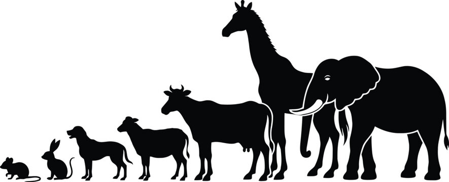 Black animal silhouettes arranged from small to large, featuring mouse, rabbit, dog, goat, cow, giraffe, and elephant. Ideal for educational charts, children&rsquo;s learning materials, wildlife posters, in
