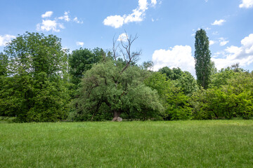 Fototapeta premium Spring Landscape of South Park in city of Sofia, Bulgaria