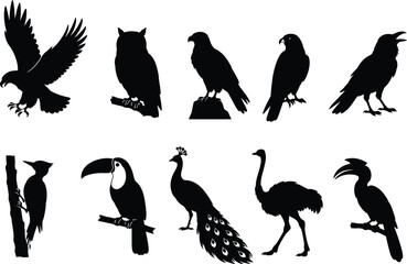 Set of ten black wild bird silhouettes featuring eagle, owl, hawk, falcon, raven, woodpecker, toucan, peacock, ostrich, and hornbill in flying, standing, and perched poses. Ideal for wildlife logos, e © Netsolbiz