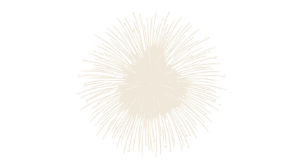 Obraz premium Minimalist vector graphic illustration of a stylized firework burst featuring delicate radiating lines on a solid deep black background
