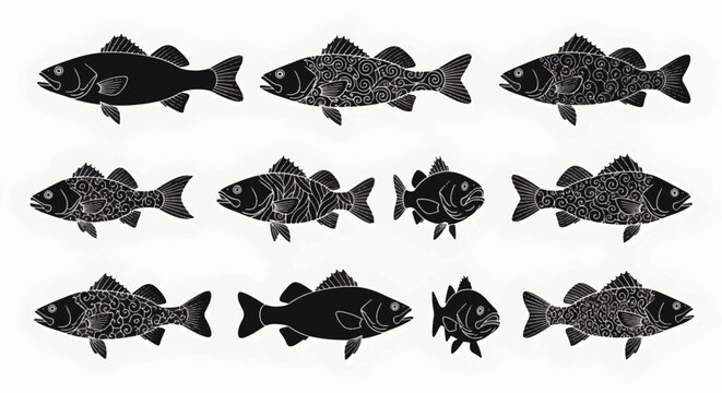 Collection of eleven sea bass fish silhouettes in black on a white background, featuring various ornate white line art patterns including swirls, waves, and solid fill designs.