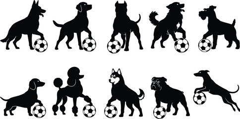 Set of ten black dog breed silhouettes posing, standing, sitting, and running with soccer balls. Ideal for football mascots, pet sports logos, dog clubs, team branding, T-shirts, stickers, Cricut, and © Netsolbiz