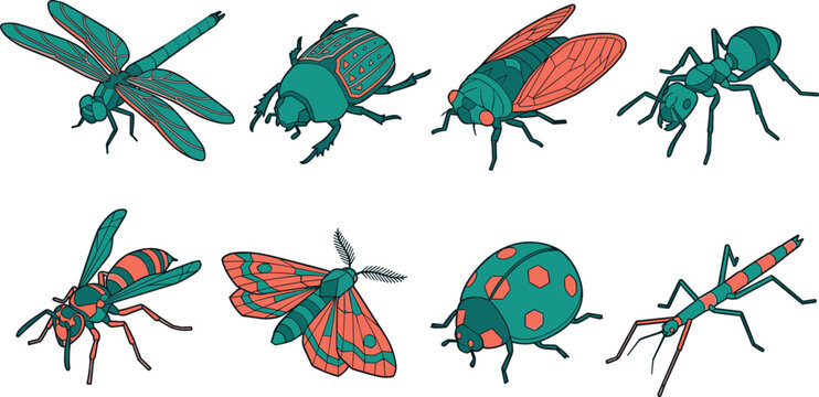 Insects and bugs vector element set featuring isometric dragonfly beetle cicada ant wasp moth ladybug and stick insect illustrations in teal and coral colors