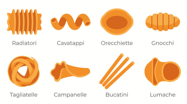 This image showcases a delightful collection of various pasta shapes, highlighting the diversity of Italian cuisine and the intricate designs of each unique type.
