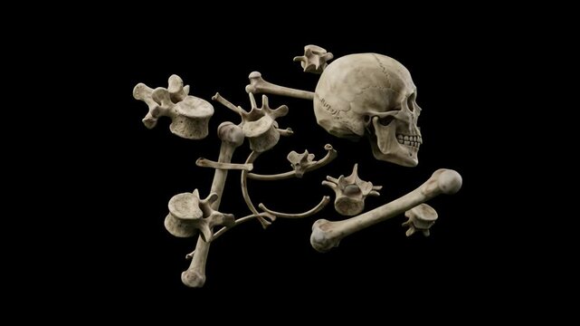 A unique 3D render of a voxel-style pixelated human skull and scattered spine bones floating against a dark black backdrop. Perfect for retro gaming assets, indie game Halloween elements, pixel art st