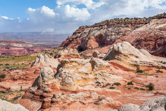 White Pocket - Arizona Vermilion Cliffs National Monument	