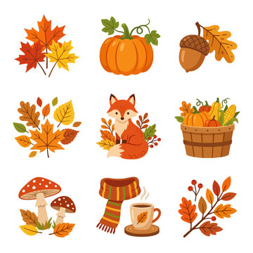 Vibrant collection of nine autumn-themed illustrations featuring fall foliage, harvest elements, a cute fox, mushrooms, and cozy seasonal items.
